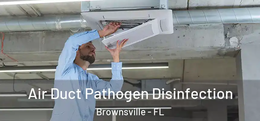  Air Duct Pathogen Disinfection Brownsville - FL