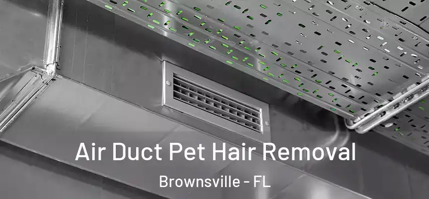 Air Duct Pet Hair Removal Brownsville - FL