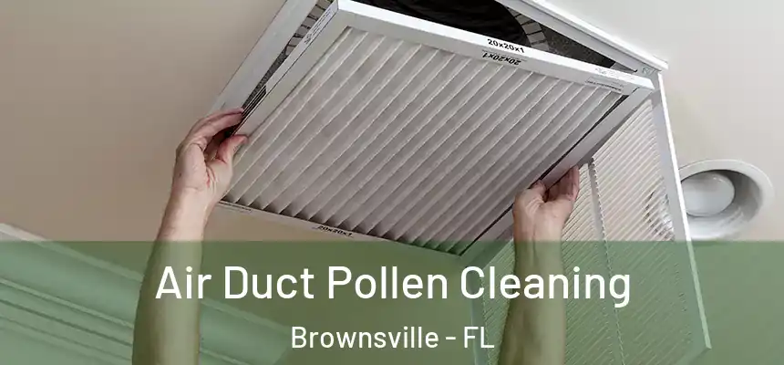  Air Duct Pollen Cleaning Brownsville - FL