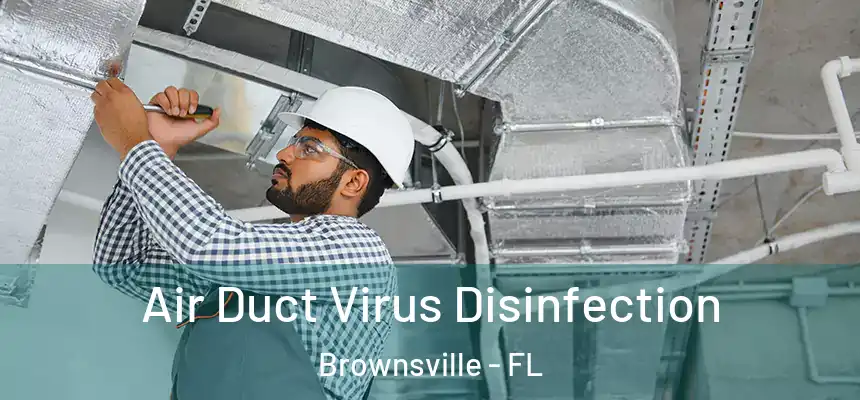  Air Duct Virus Disinfection Brownsville - FL
