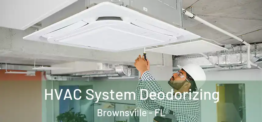  HVAC System Deodorizing Brownsville - FL