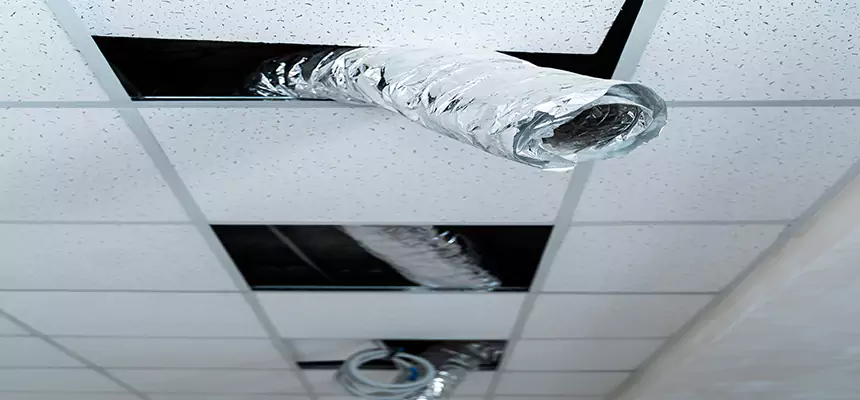 Our Air Duct Pet Hair Removal Services in Brownsville, FL