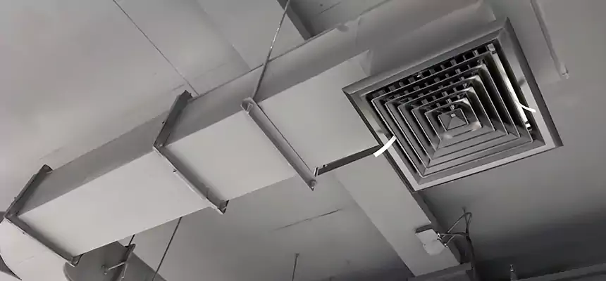 Restorative Allergy Relief Vent Cleaning – Coil, Blower & Housing Detail in Brownsville