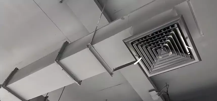 Our Rodent Droppings In Vents Services in Brownsville, FL