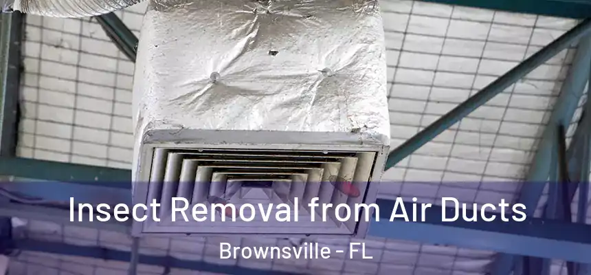  Insect Removal from Air Ducts Brownsville - FL