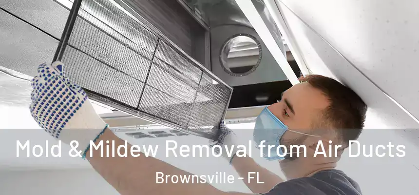  Mold & Mildew Removal from Air Ducts Brownsville - FL