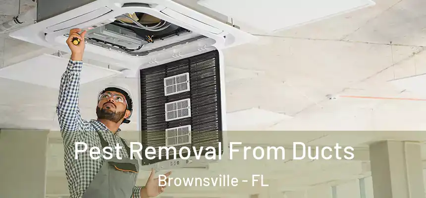  Pest Removal From Ducts Brownsville - FL