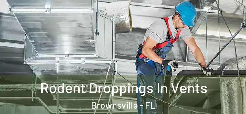  Rodent Droppings In Vents Brownsville - FL