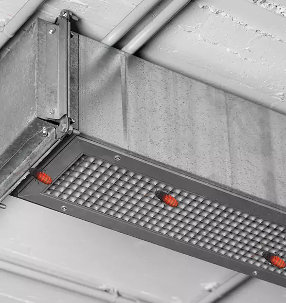 About Air Duct Cockroach Removal in Brownsville, FL
