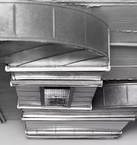 Professional Air Duct Pet Hair Removal in Brownsville, FL