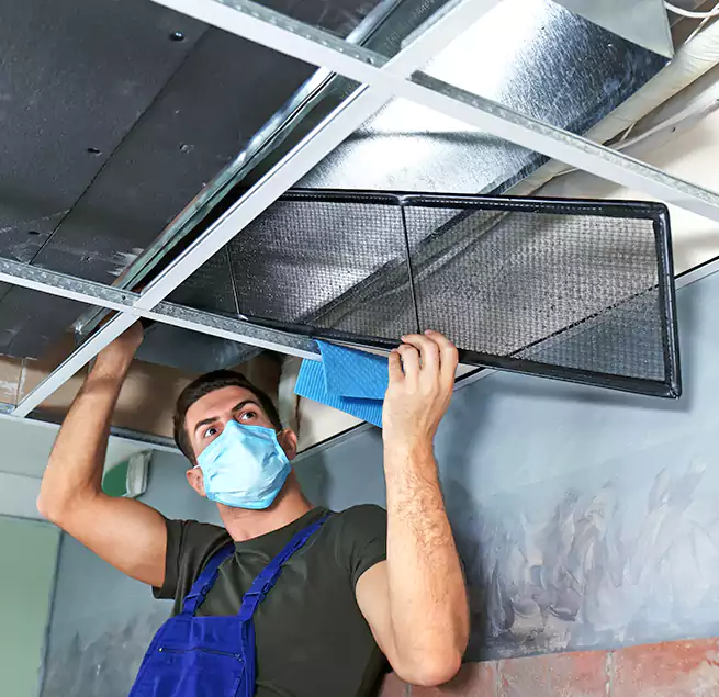 Why Homeowners Businesses Trust Us in Brownsville, FL