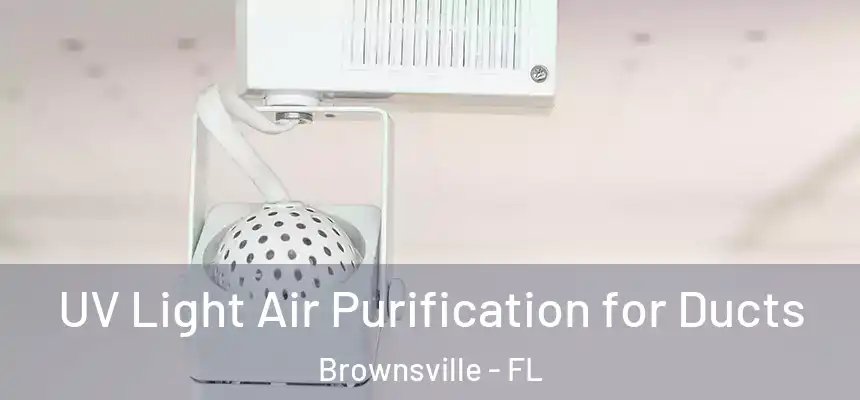  UV Light Air Purification for Ducts Brownsville - FL