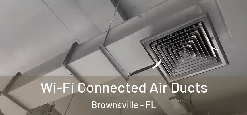 Wi-Fi Connected Air Ducts Brownsville - FL
